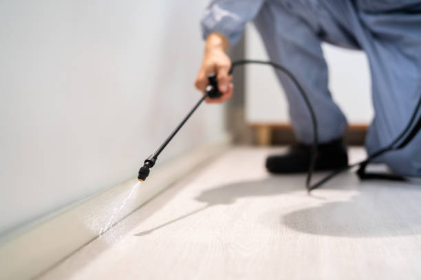 Licensed Mosquito Control service in Oberlin, OH - Show Me Pest Control