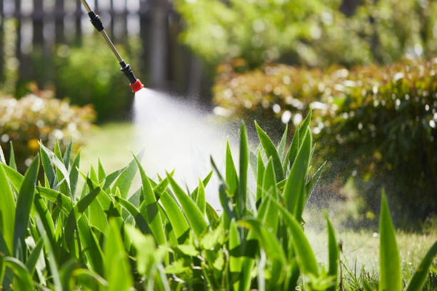 24/7 Emergency Mosquito Control experts in Oberlin, OH